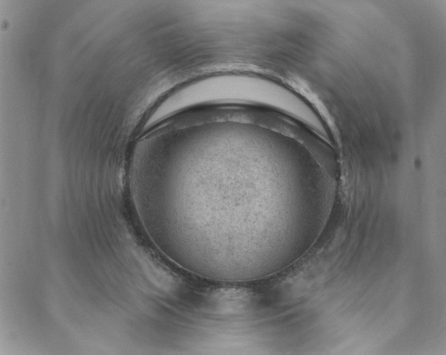 X0000089700063200706211328