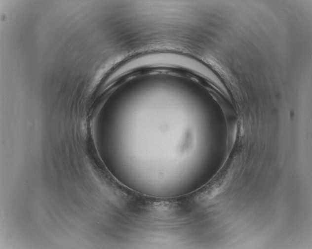 X0000089700064200706211328