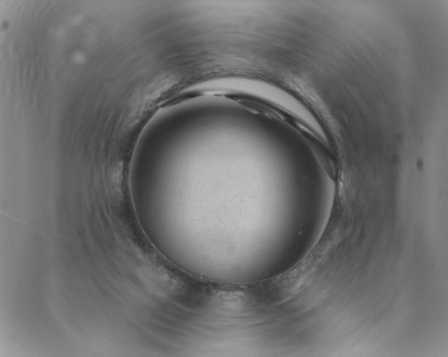 X0000089700066200706211328