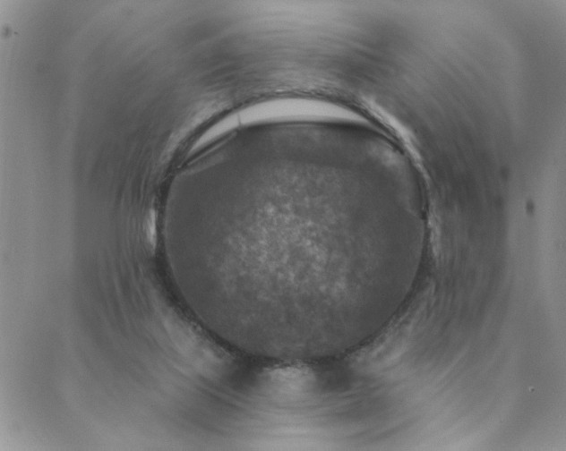 X0000089700067200706211328