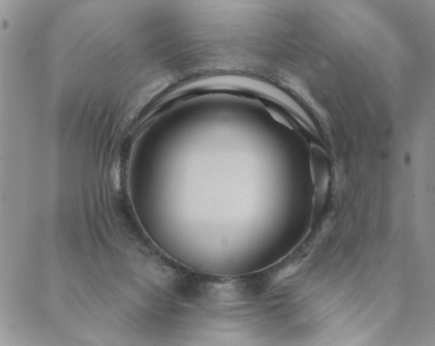 X0000089700068200706211328