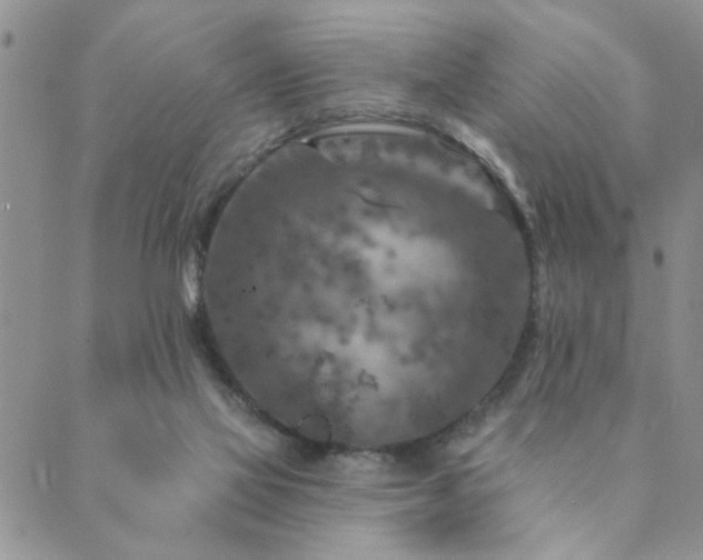 X0000089700069200706211328