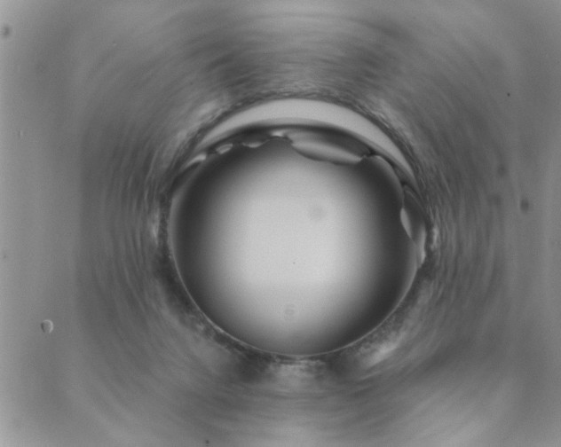 X0000089700072200706211329