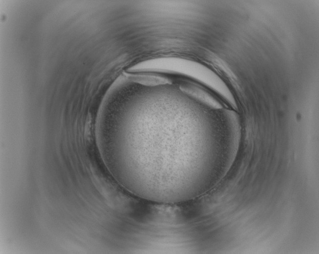 X0000089700073200706211329