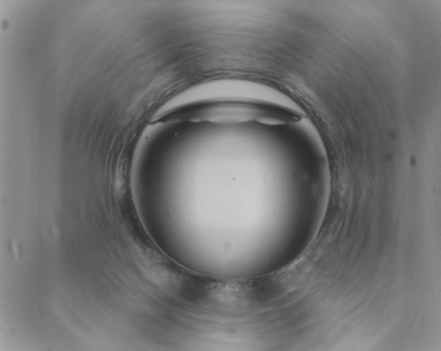 X0000089700074200706211329