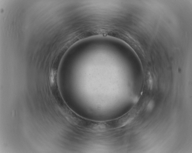 X0000089700075200706211329