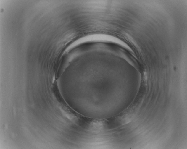 X0000089700076200706211329