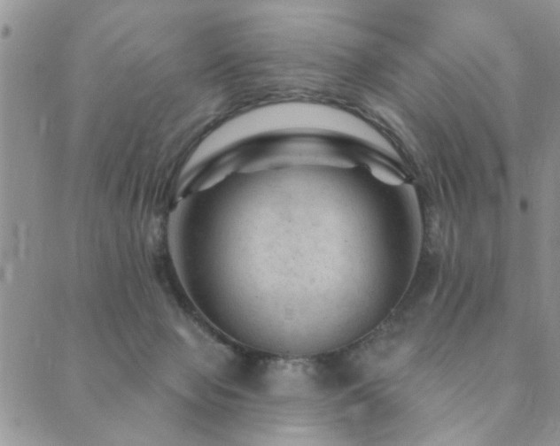 X0000089700077200706211329