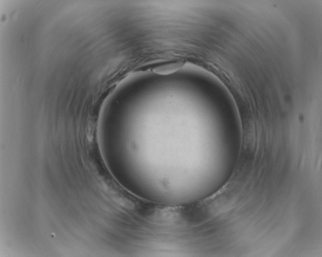 X0000089700078200706211329