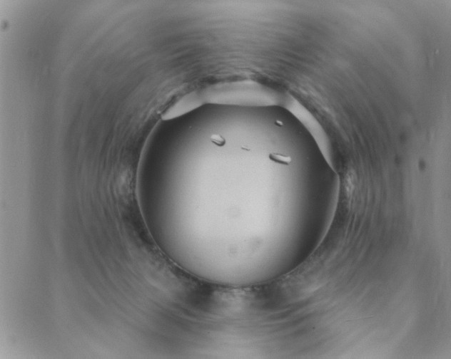 X0000089700079200706211329