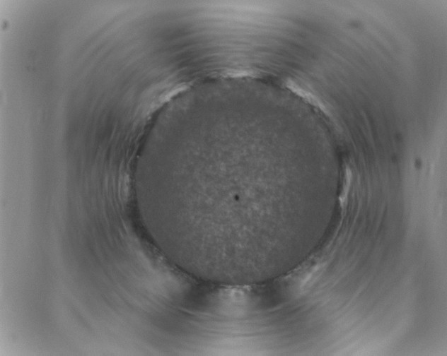 X0000089700080200706211329