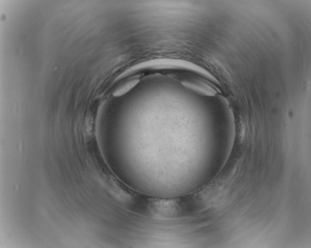 X0000089700081200706211329