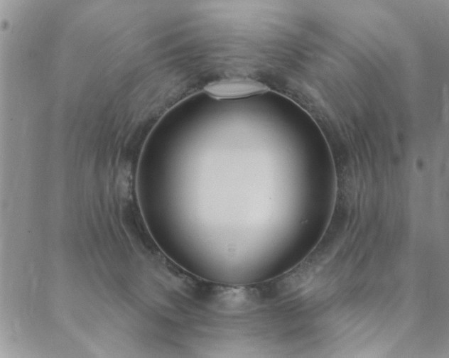 X0000089700083200706211329