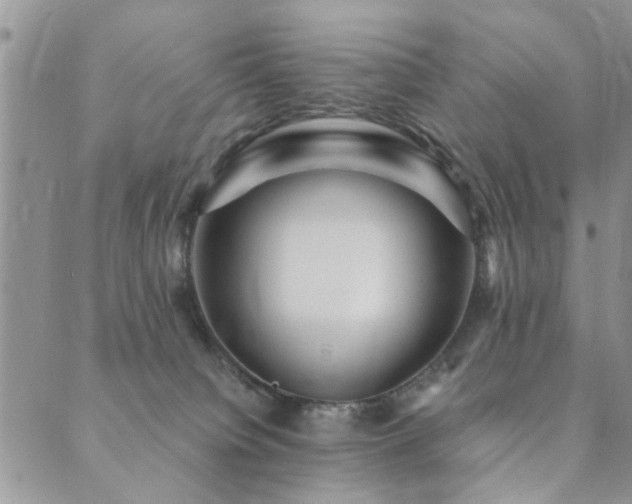 X0000089700084200706211329