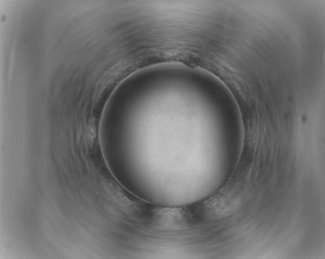 X0000089700085200706211329