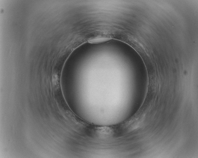 X0000089700087200706211329