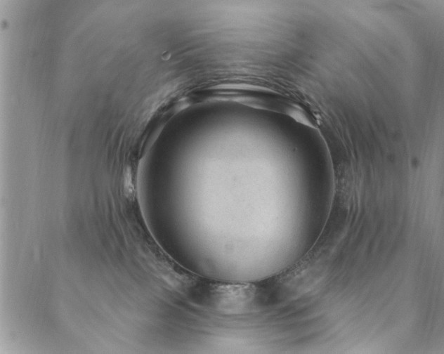 X0000089700089200706211329