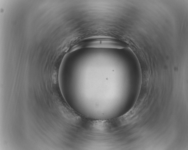 X0000089700090200706211329