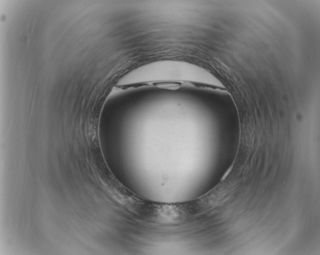 X0000089700091200706211329