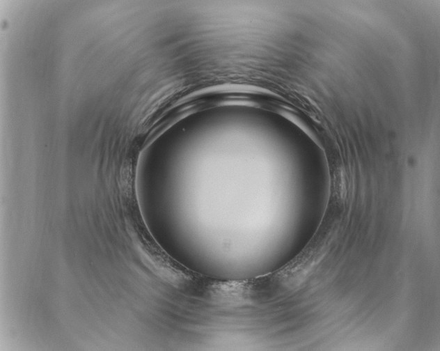 X0000089700092200706211329