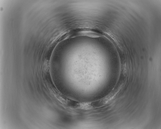 X0000089700093200706211329