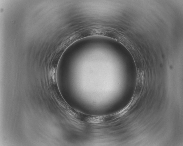 X0000089700094200706211329