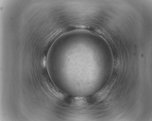 X0000089700095200706211329