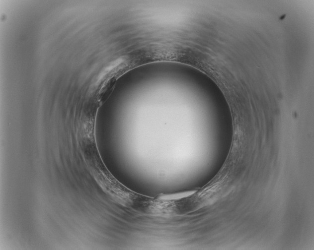 X0000089700096200706211329