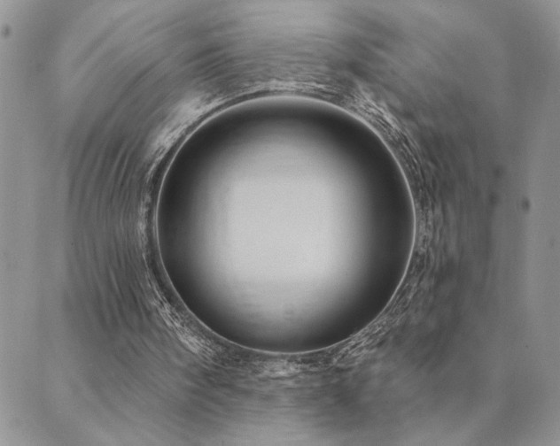 X0000089700098200706211328