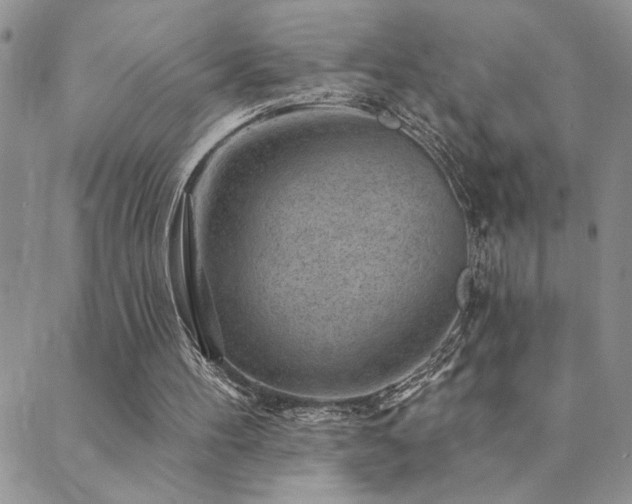 X0000089700100200706211328