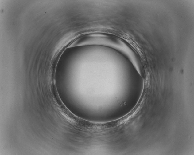 X0000089700101200706211328