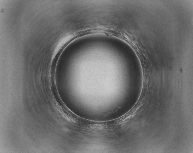 X0000089700102200706211328