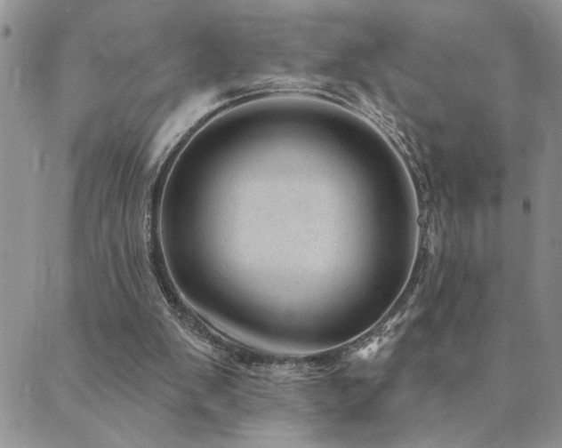 X0000089700103200706211328