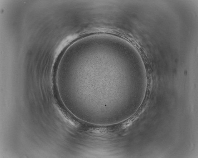 X0000089700104200706211328