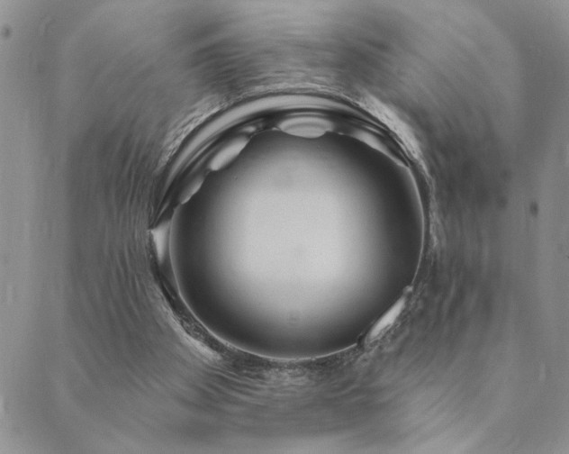 X0000089700105200706211328