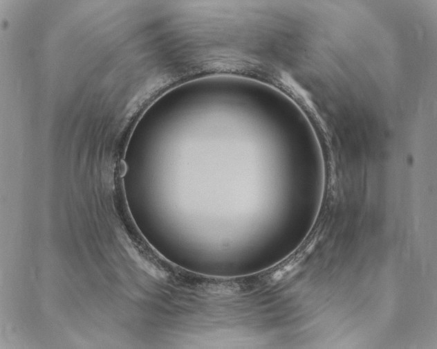 X0000089700106200706211328