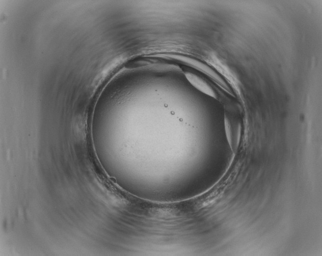 X0000089700107200706211328