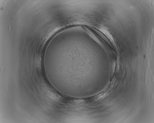 X0000089700108200706211328