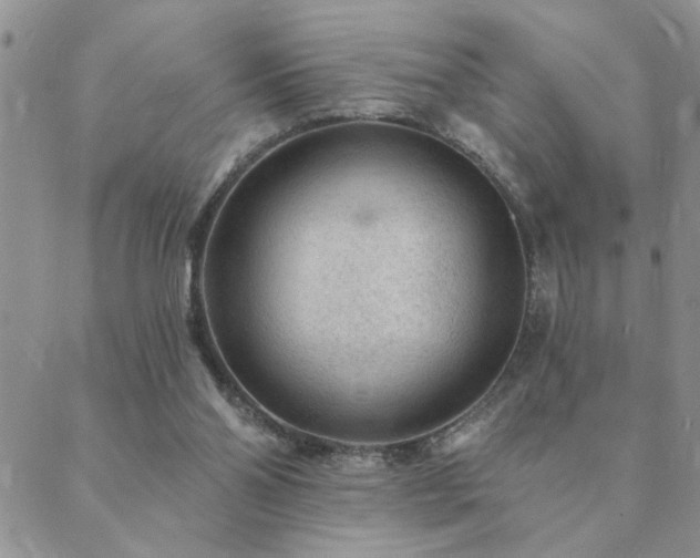 X0000089700110200706211328