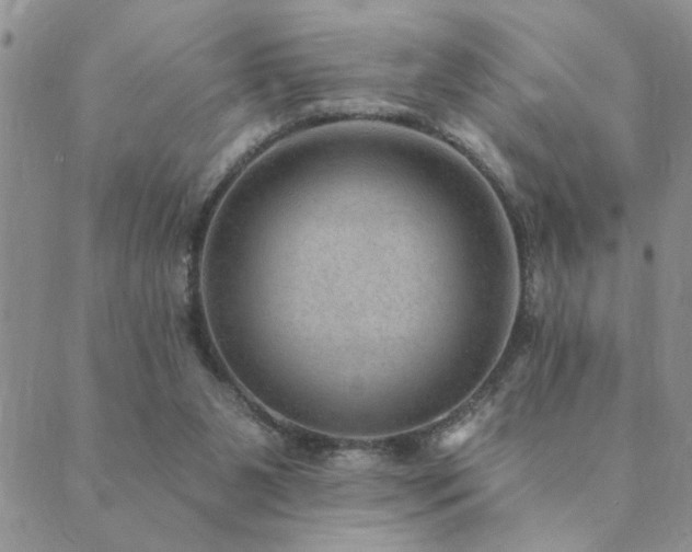 X0000089700111200706211328