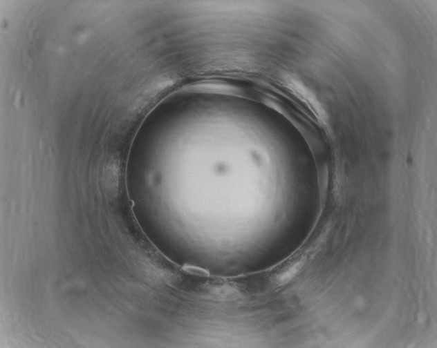 X0000089700113200706211328