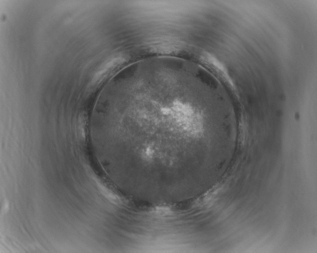 X0000089700114200706211328