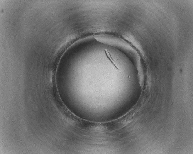 X0000089700115200706211328