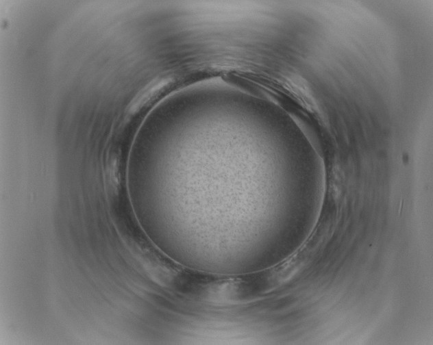 X0000089700116200706211328