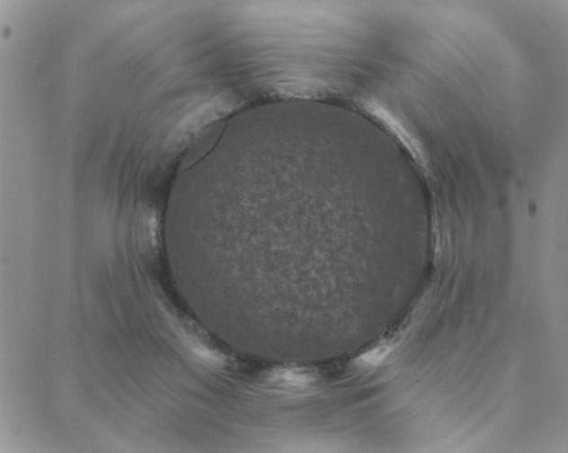 X0000089700117200706211328