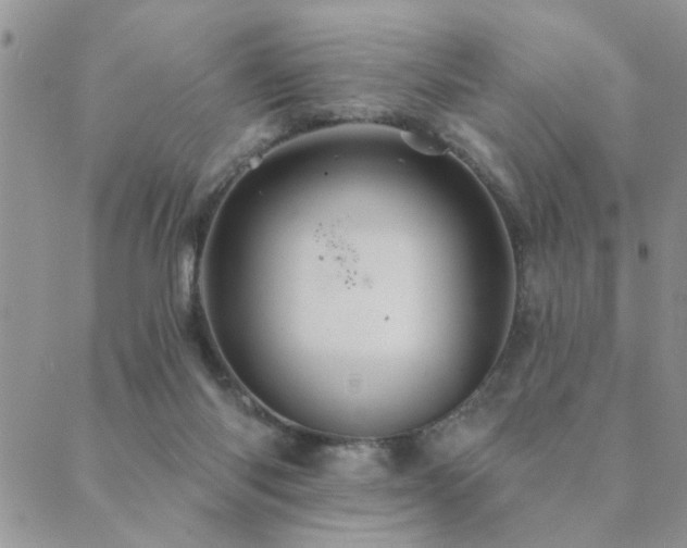 X0000089700118200706211328