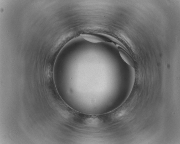 X0000089700119200706211328