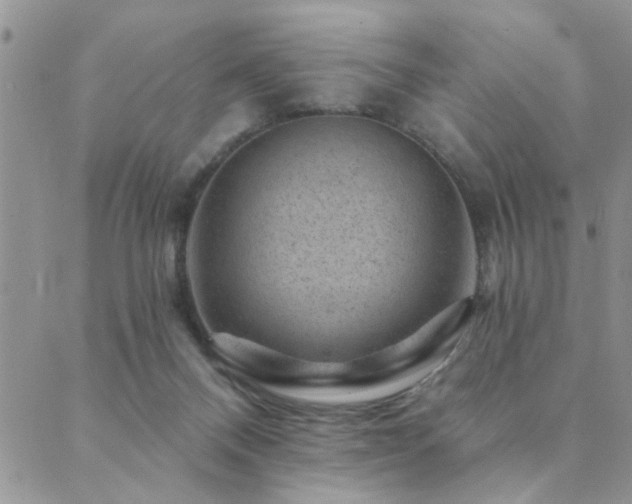 X0000089700120200706211328