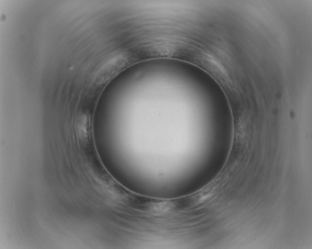 X0000089700122200706211328