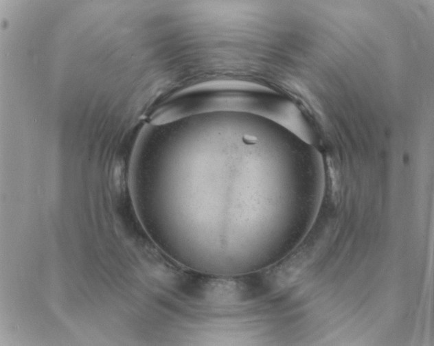 X0000089700123200706211328